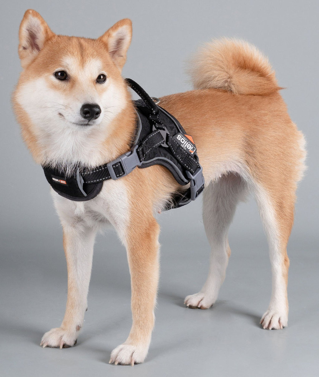 Helios Scorpion Trail Harness