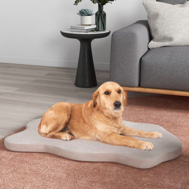 Trailrest Orthopedic Memory Foam Dog Bed