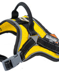 Helios Scorpion Trail Harness
