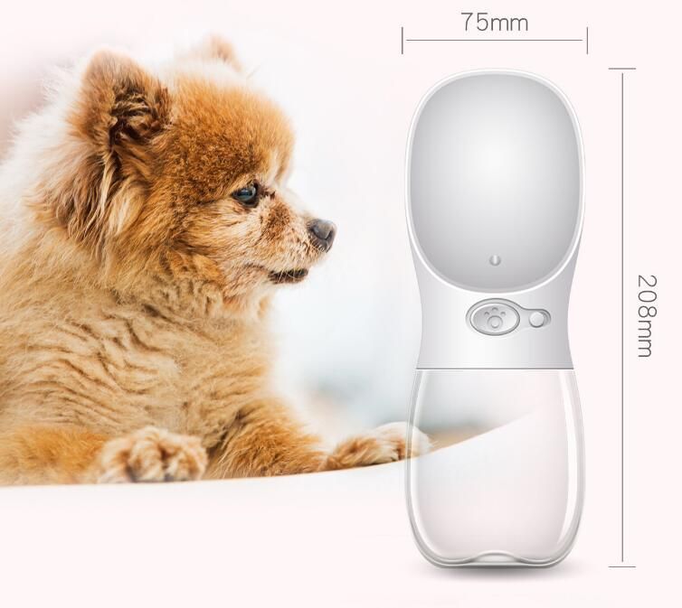 Summit Sip Portable Dog Water Bottle