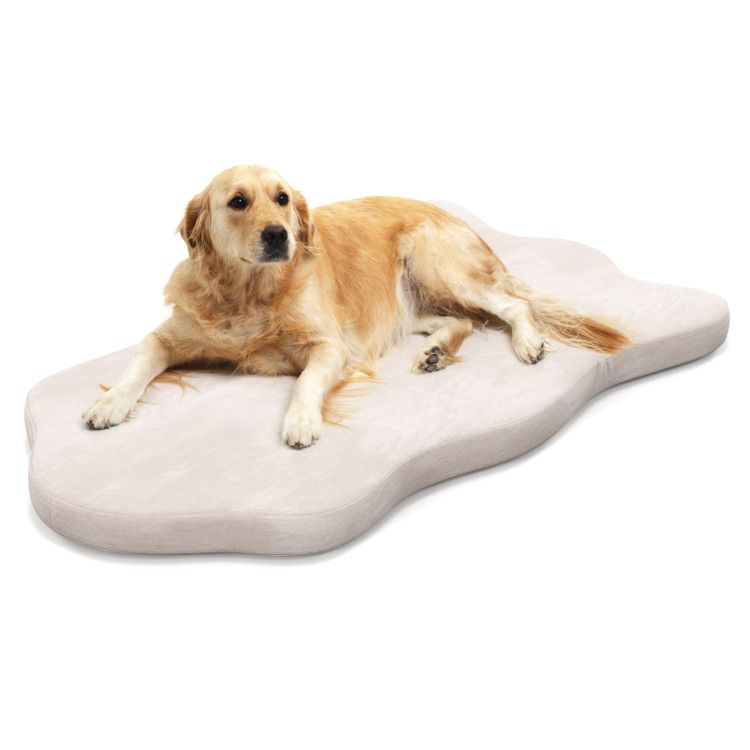 Trailrest Orthopedic Memory Foam Dog Bed