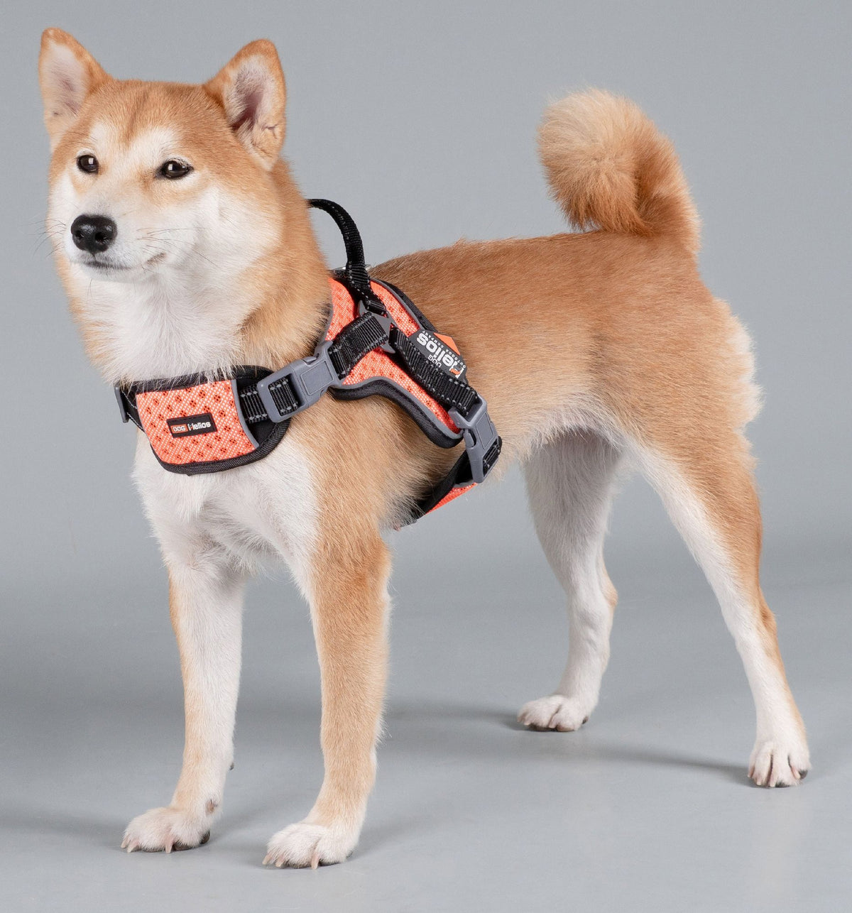 Helios Scorpion Trail Harness