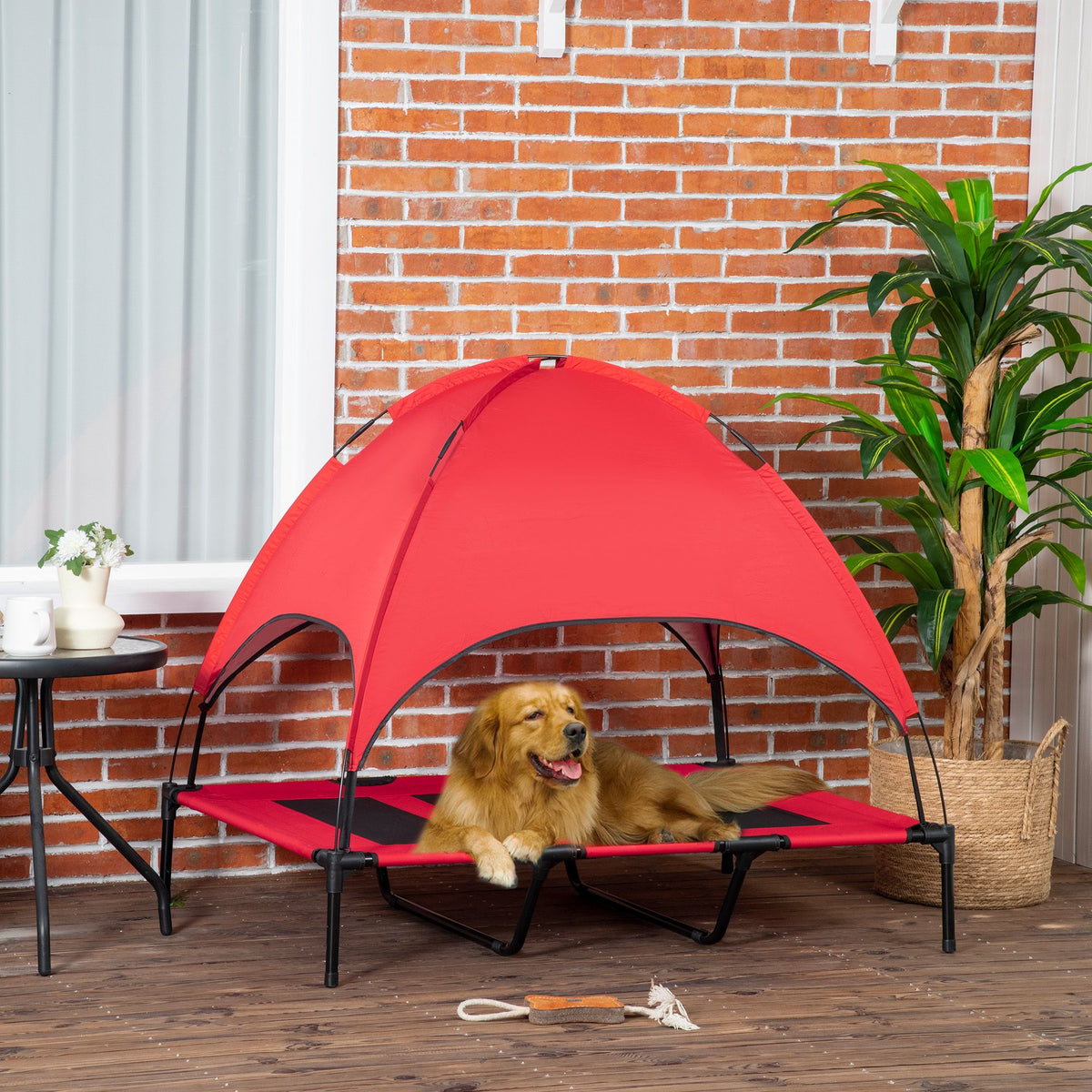 Elevated Dog Cot with UV Canopy