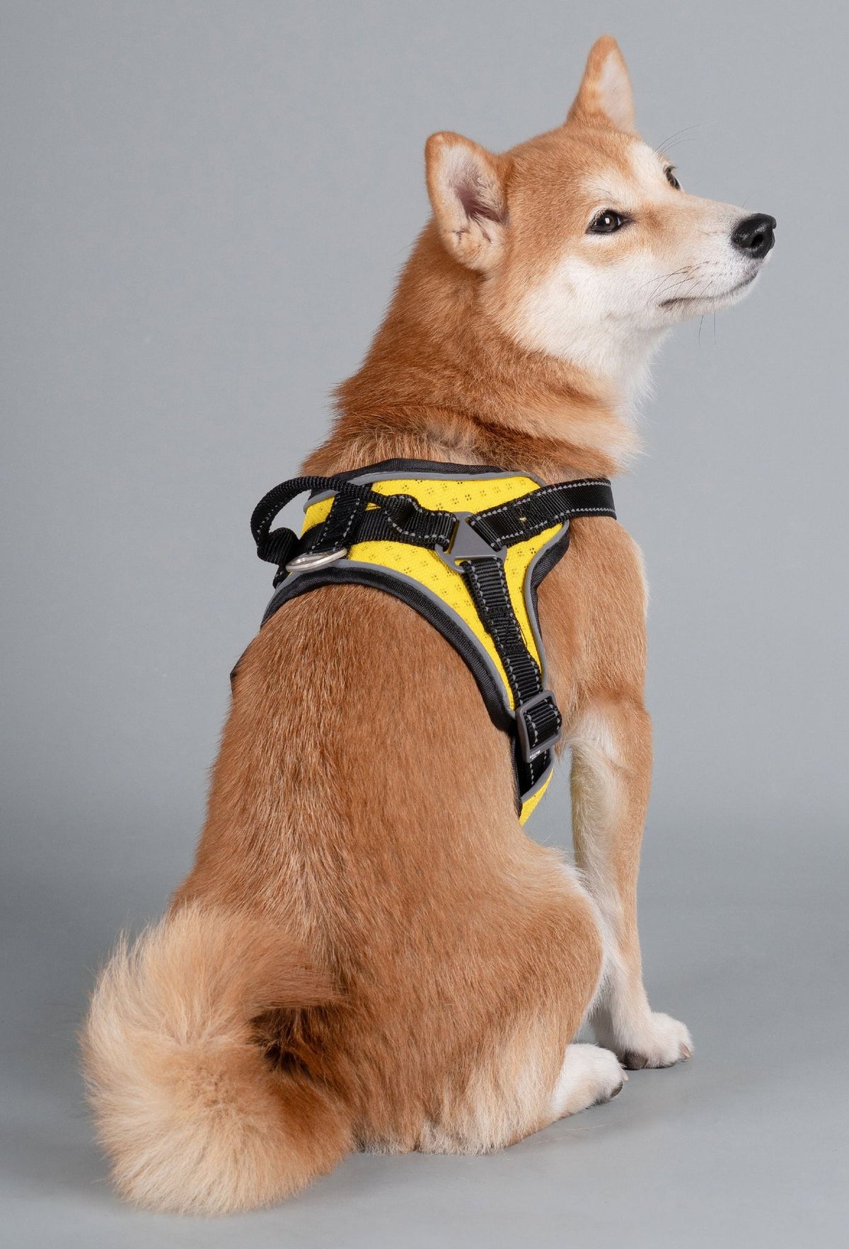 Helios Scorpion Trail Harness
