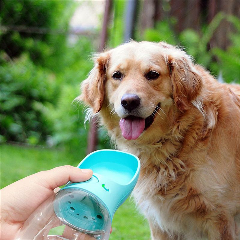 Summit Sip Portable Dog Water Bottle