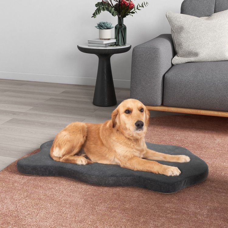 Trailrest Orthopedic Memory Foam Dog Bed
