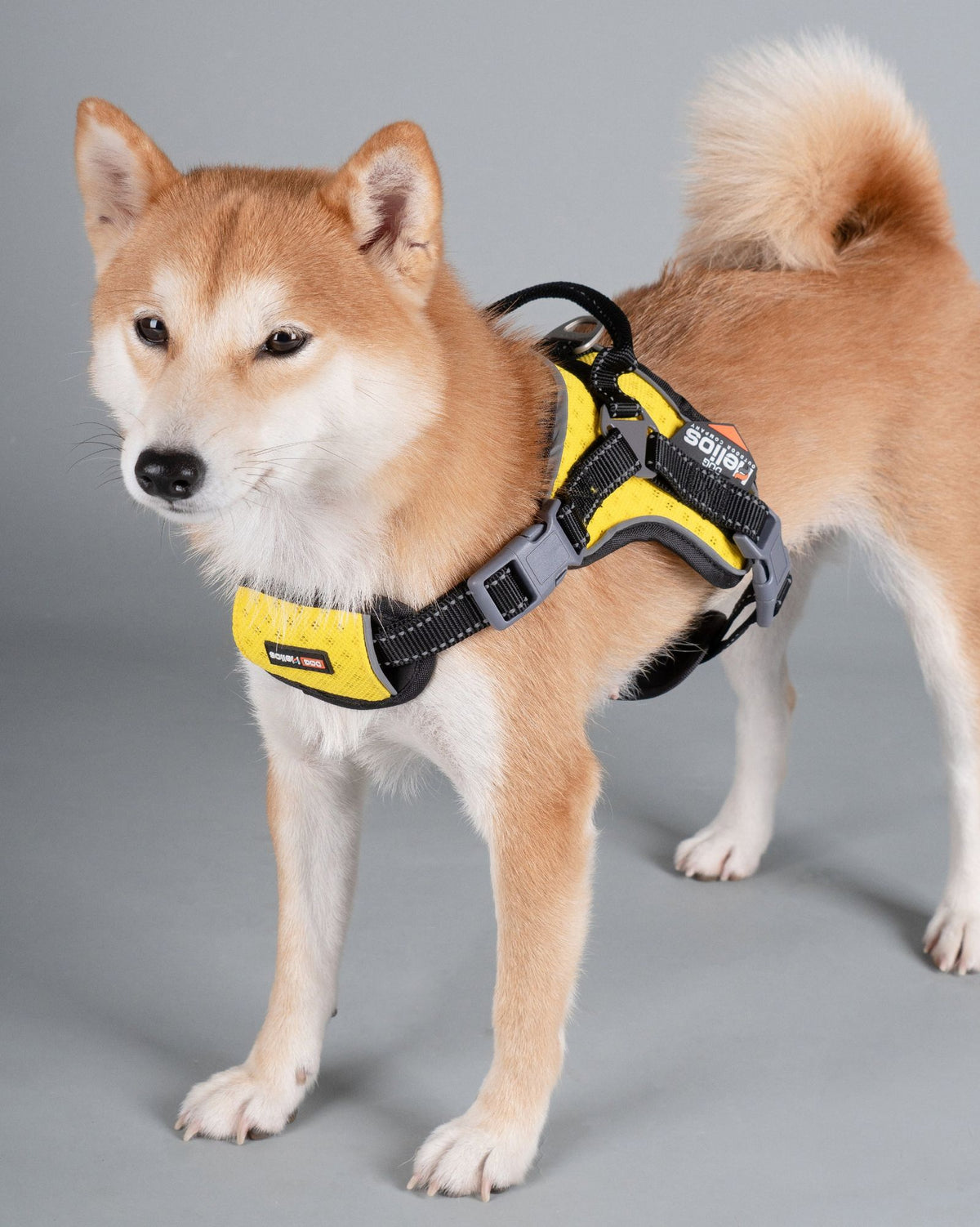Helios Scorpion Trail Harness