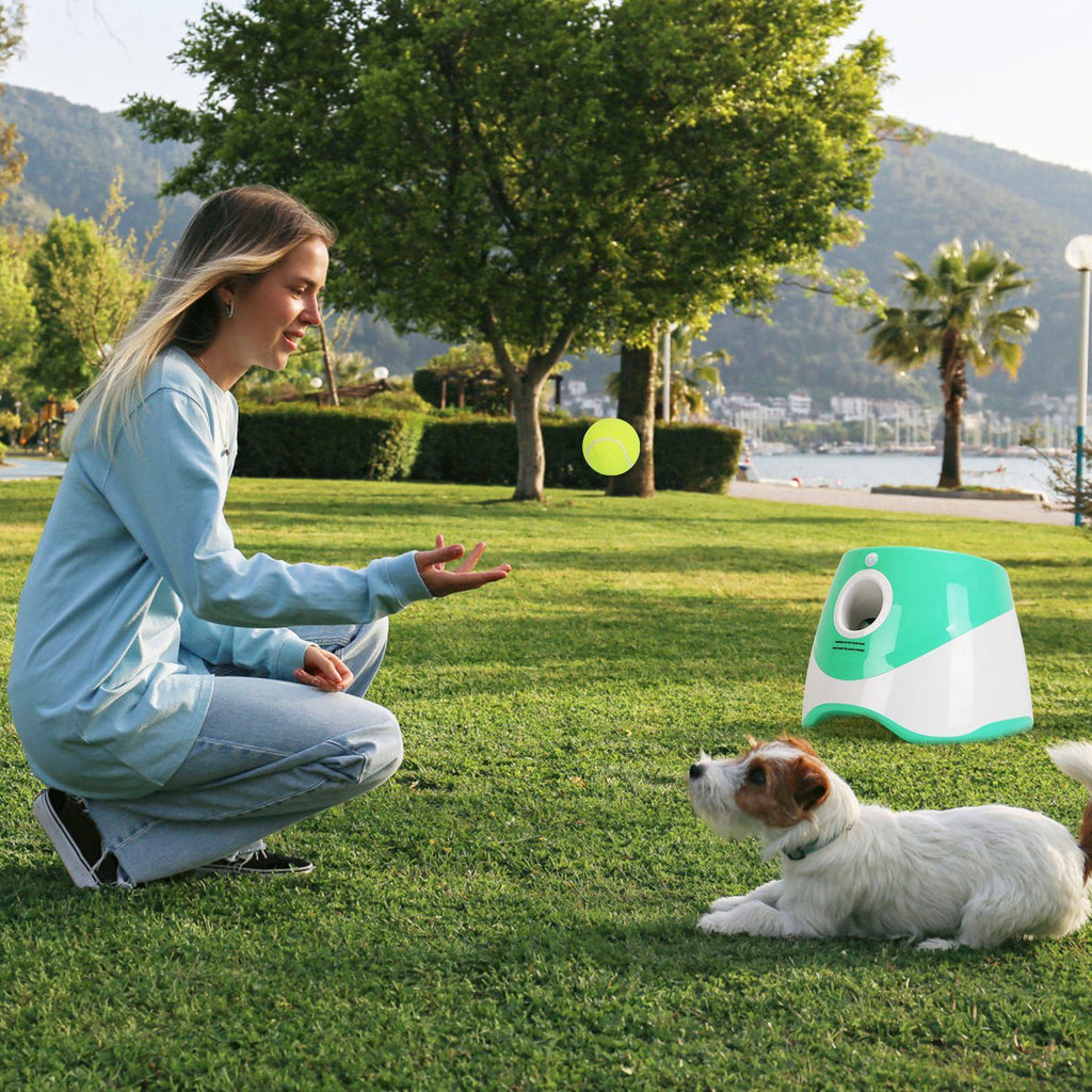 Fetch & Field Automatic Dog Ball Launcher