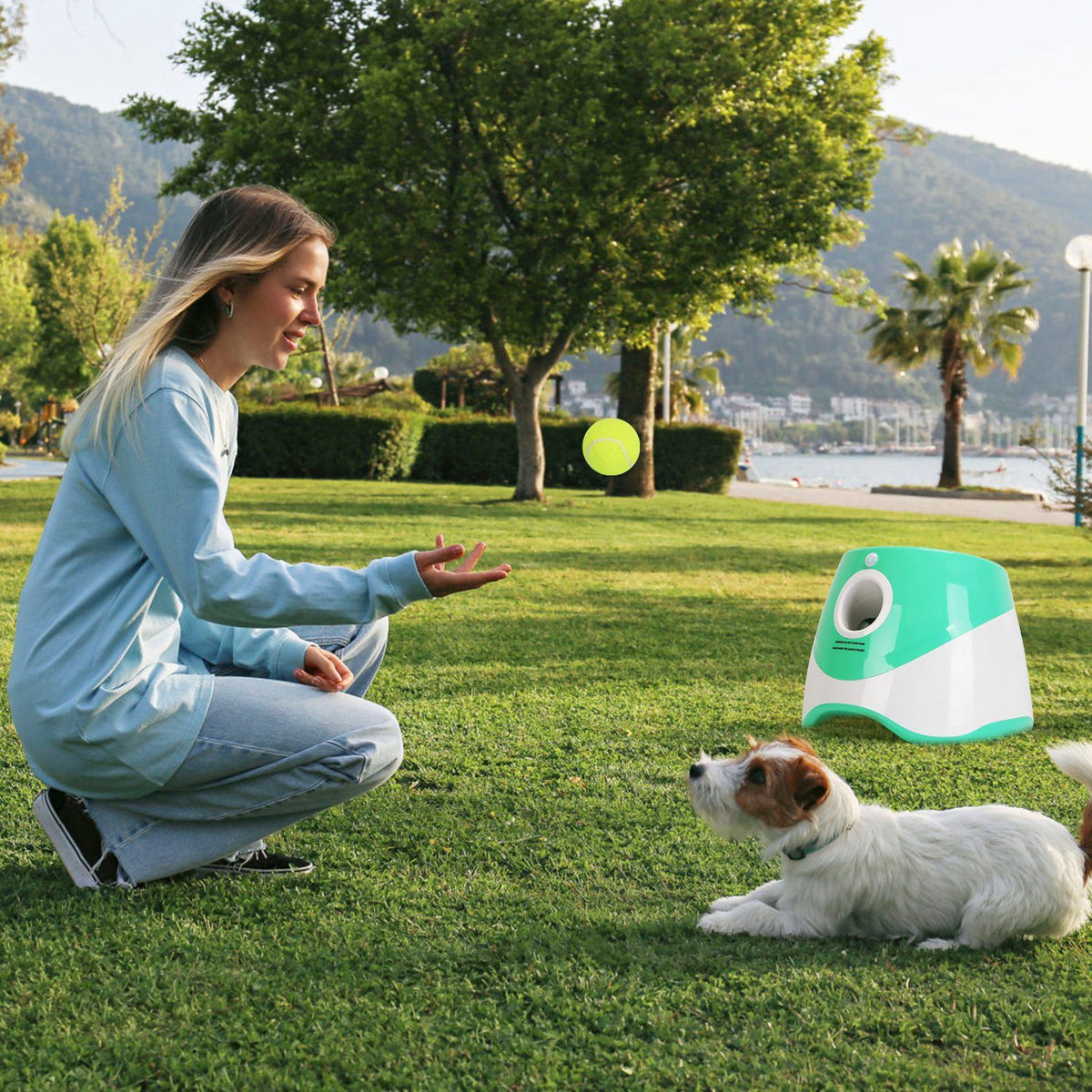 Fetch & Field Automatic Dog Ball Launcher