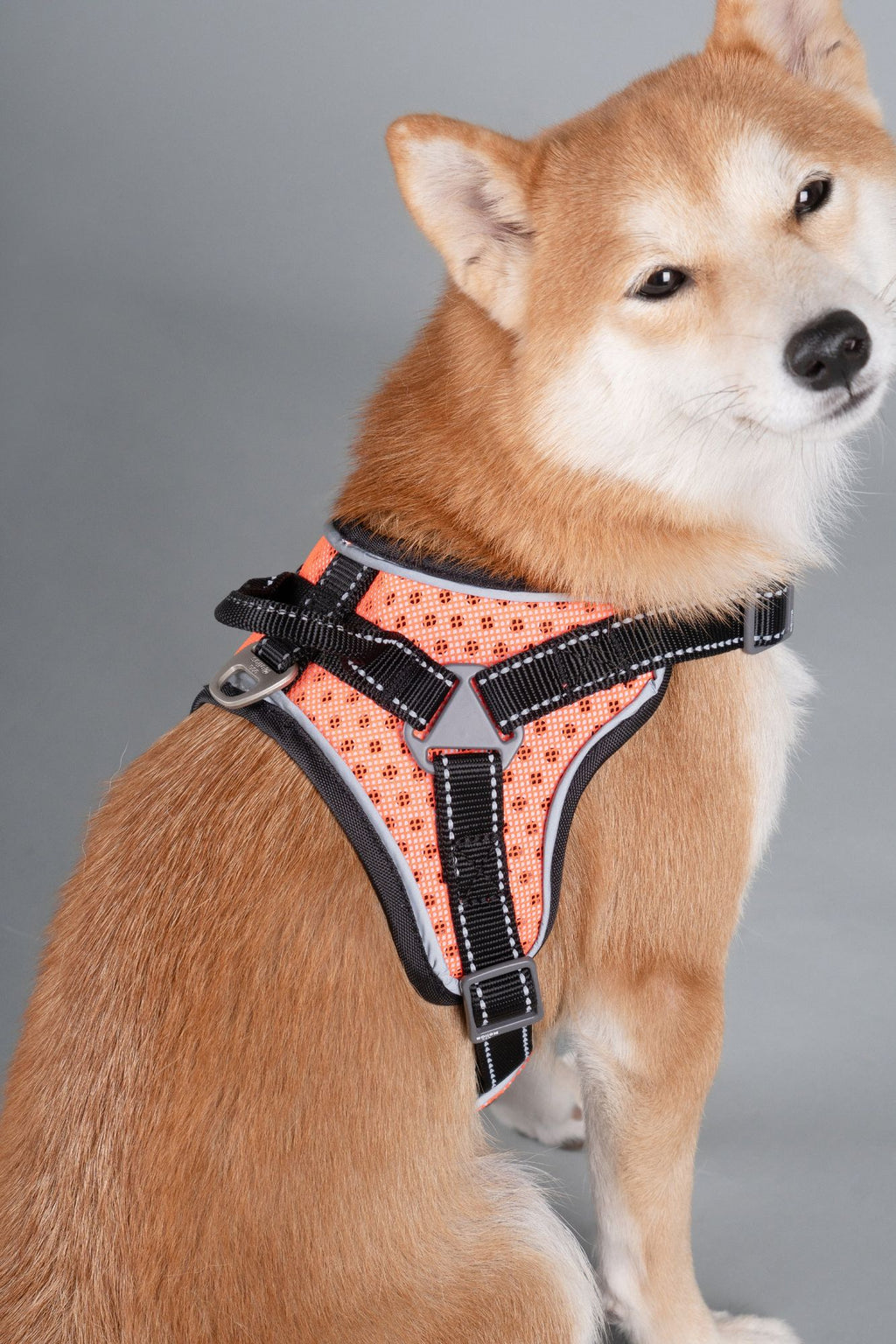 Helios Scorpion Trail Harness