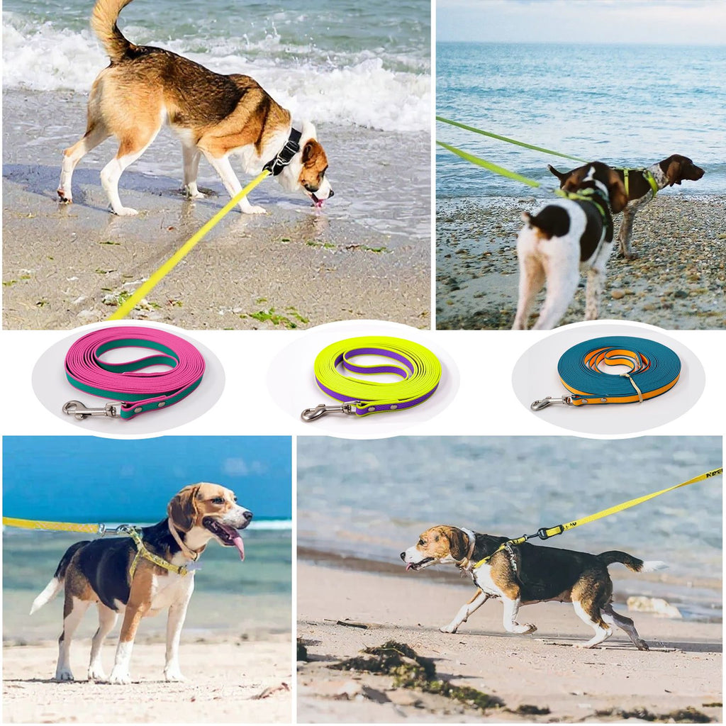 Hands-Free Trail Dog Leash