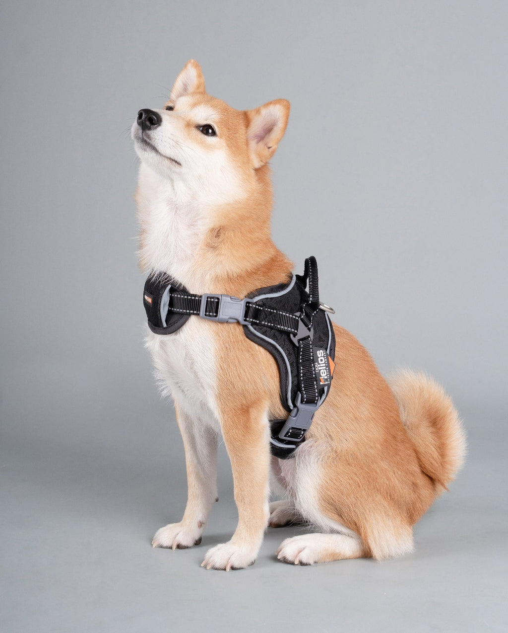 Helios Scorpion Trail Harness
